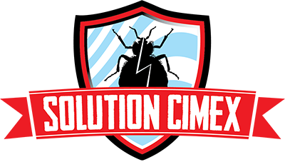 Solution Cimex