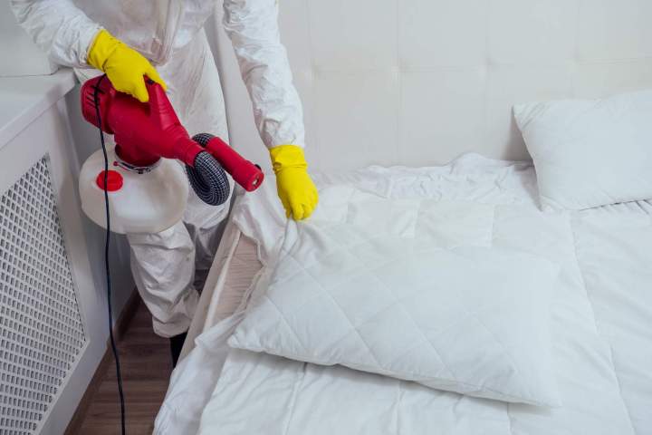 Exterminateur punaise de lit